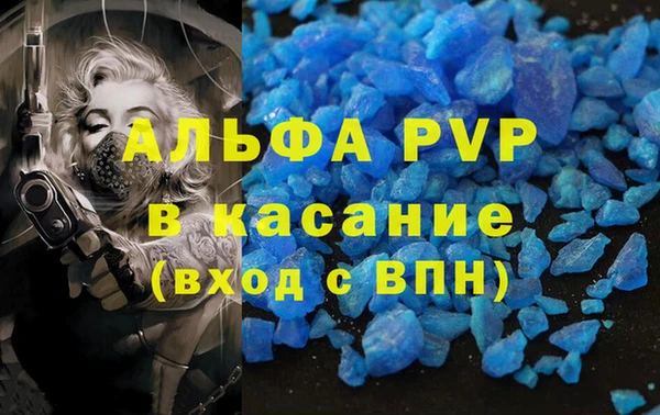 стафф Беломорск