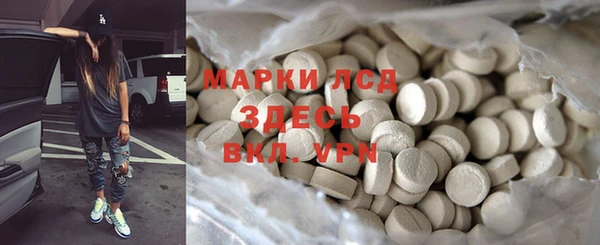 ECSTASY Богданович