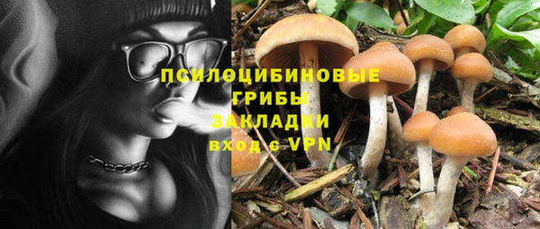 ECSTASY Богородицк