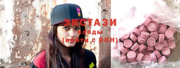 ECSTASY Богданович