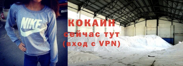ECSTASY Богородицк
